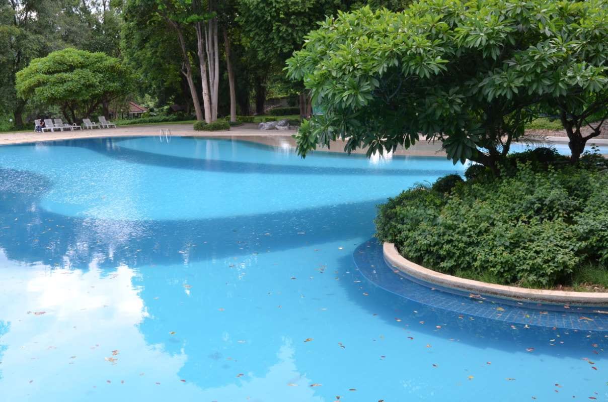 Creating a Regional Pool Care Guide as a High-Value Content Offer — pool service business insights