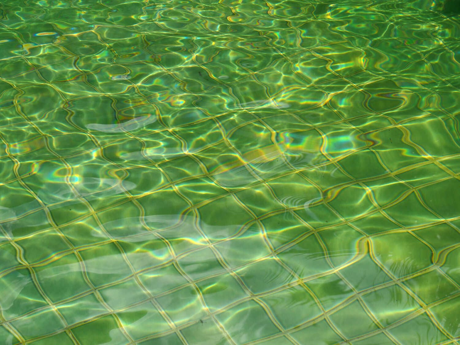Cultivating a Growth Mindset in Every Team Member — pool service business insights