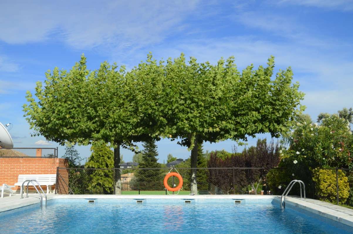 Effective Communication with Clients in the Pool Route Business — pool service business insights