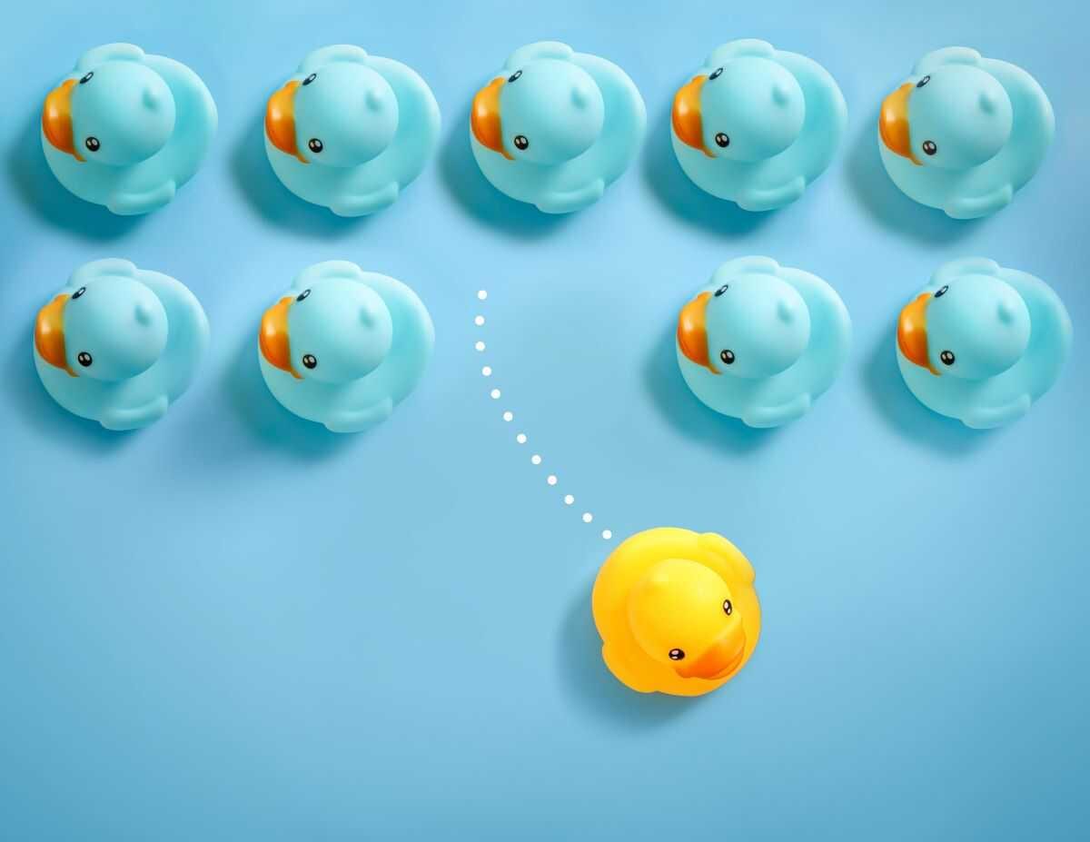 Expanding Your Business Portfolio with Pool Routes — pool service business insights