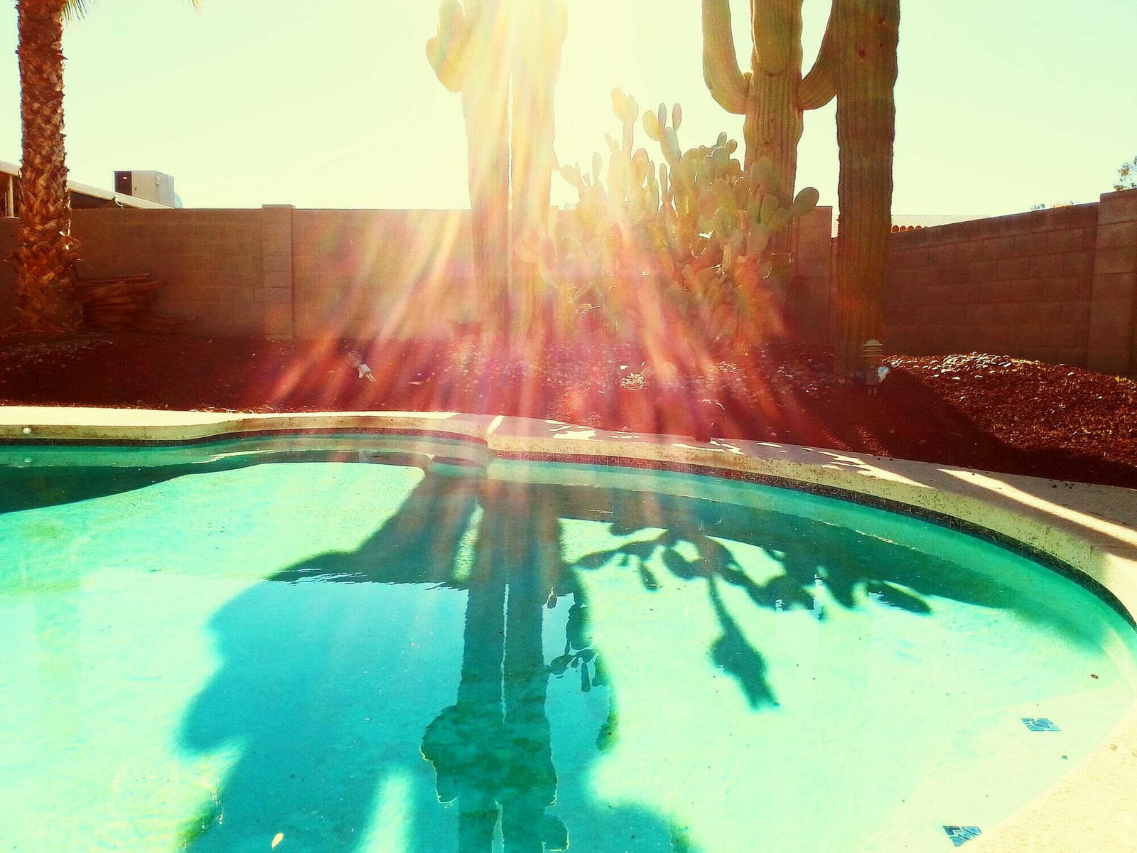How Population Migration Impacts Pool Route Opportunities — pool service business insights