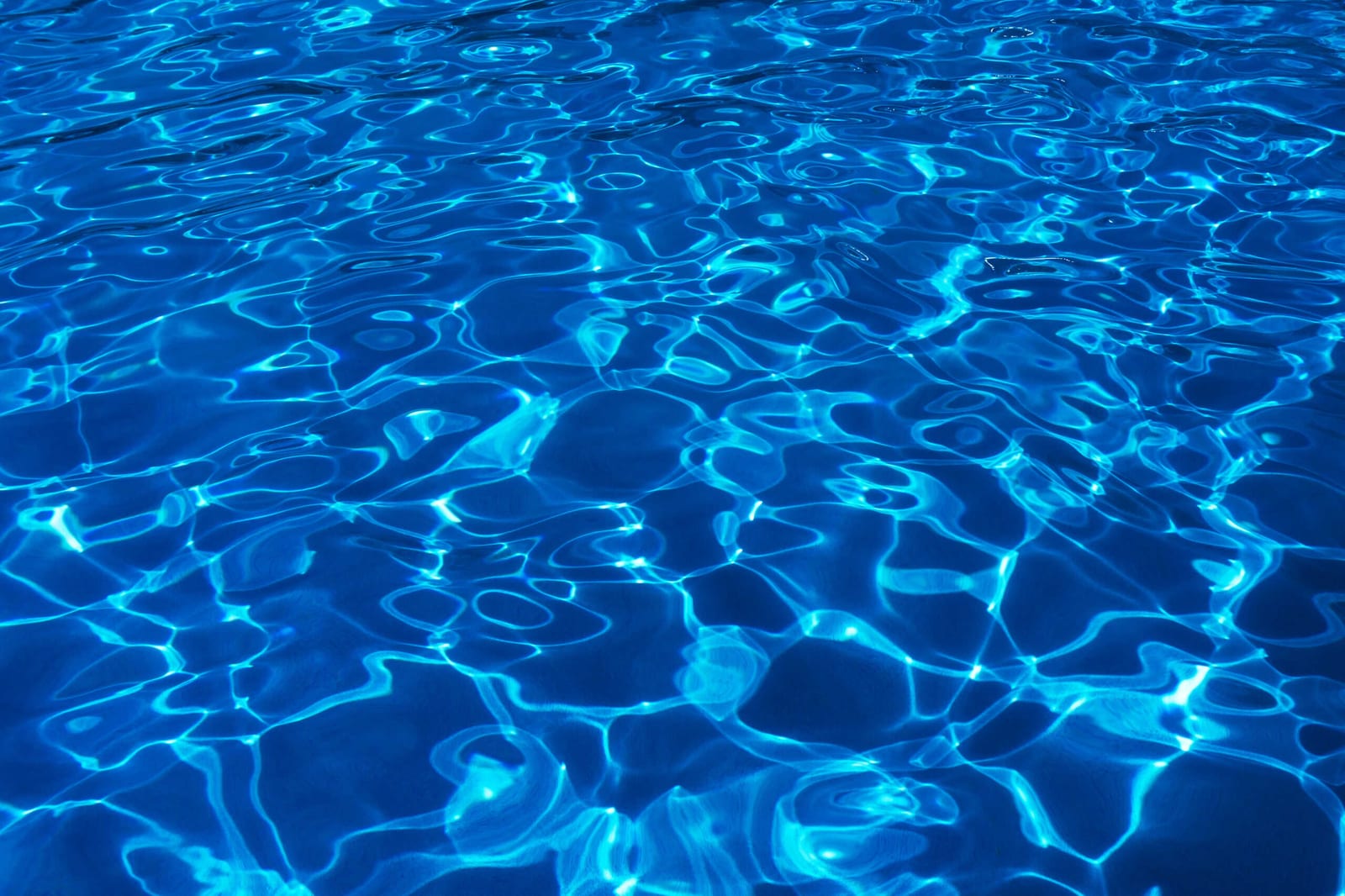 How to Serve Clients in Miami Gardens, Florida With Premium Services — pool service business insights