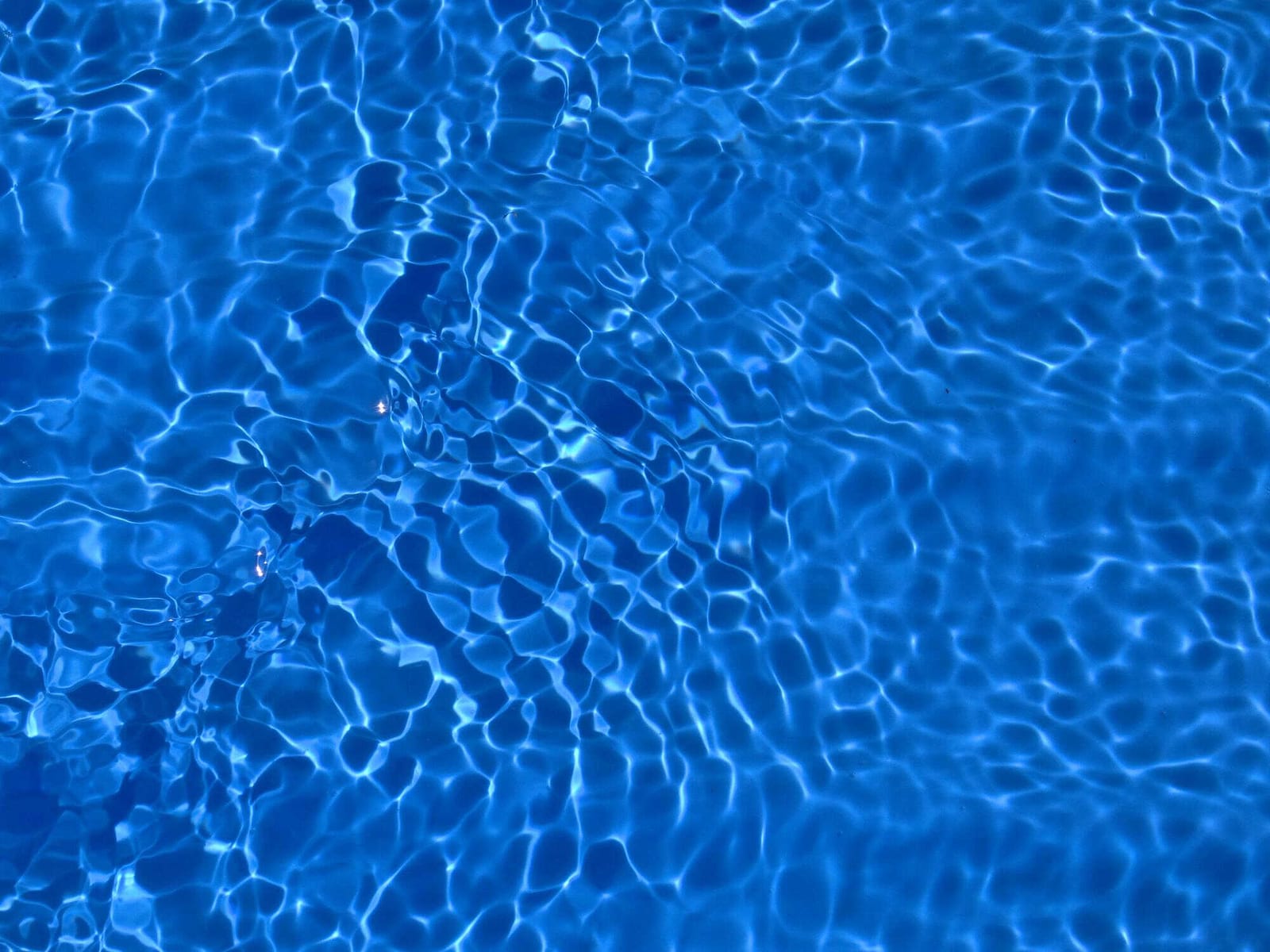 How to Win Commercial Pool Clients in Davie, Florida — pool service business insights