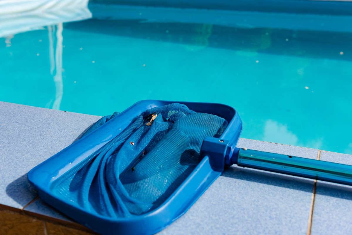 How Virtual Training Can Make You a Pool Expert — pool service business insights