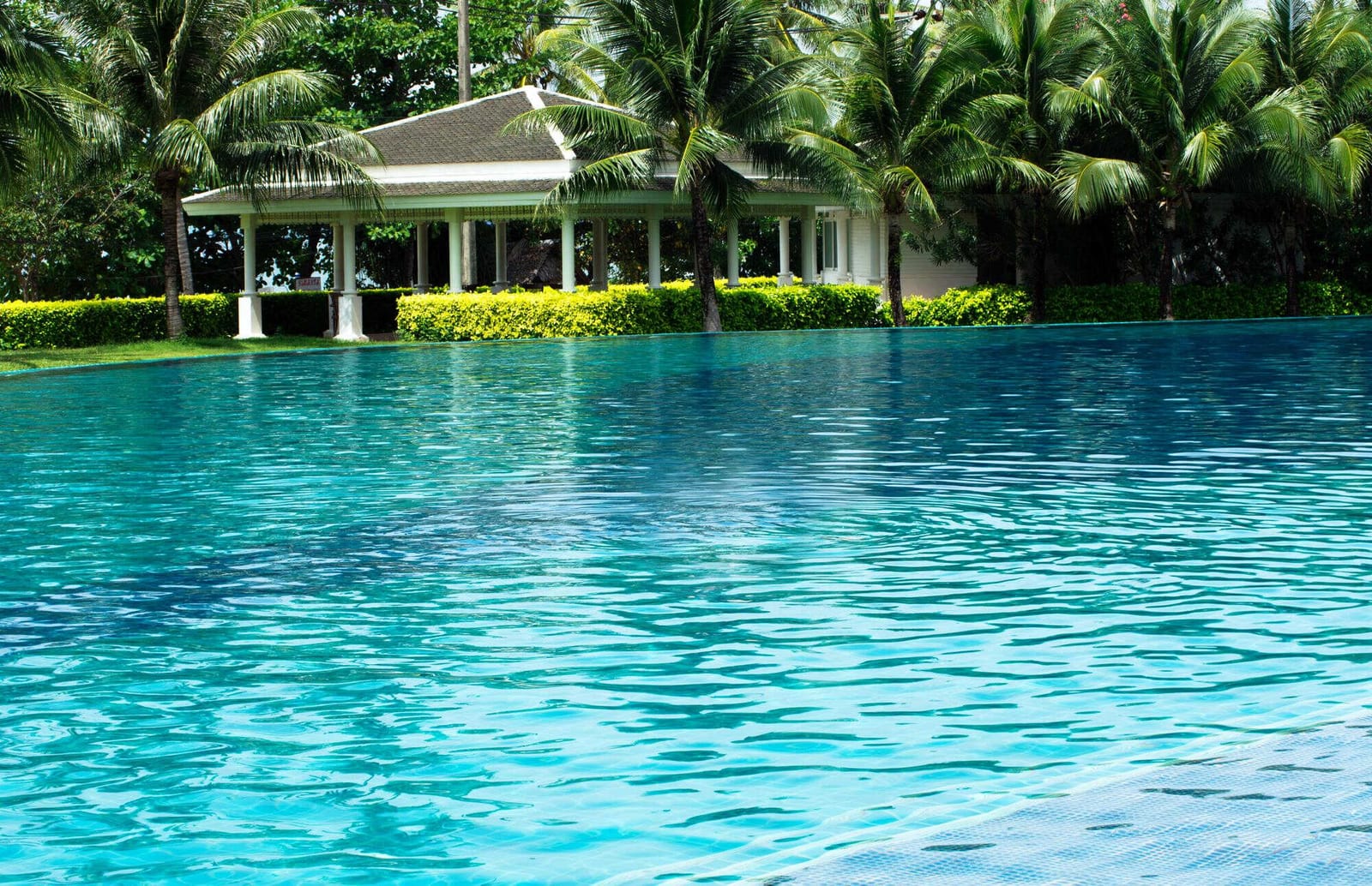 Launching a Multi-Tech Team in Johnson County, Texas — pool service business insights