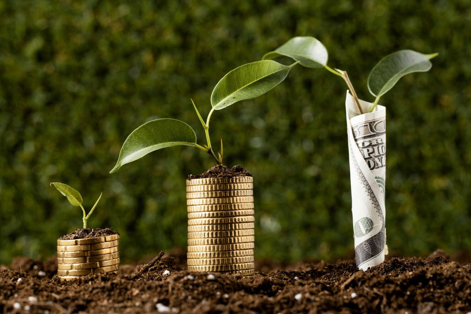 Money Management 101: Separating Personal and Business Finances — pool service business insights