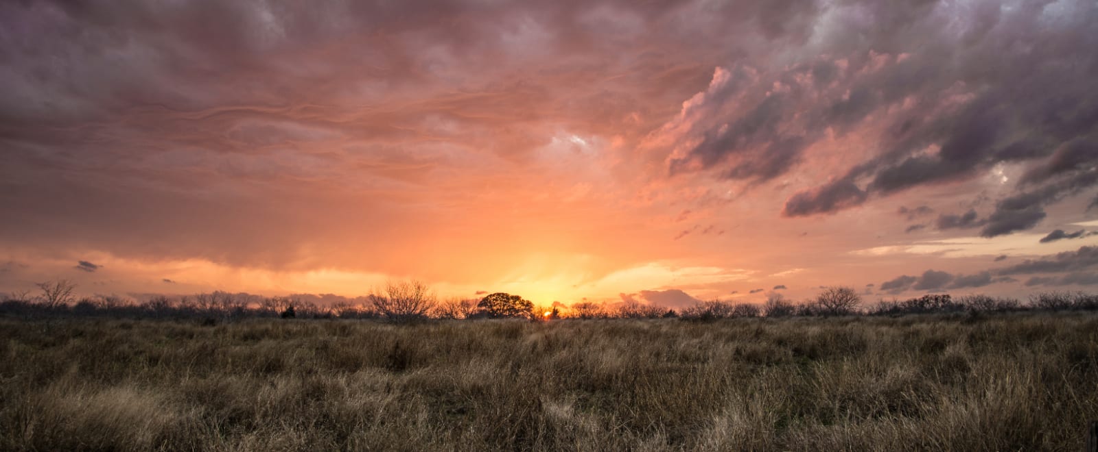 Optimizing Google My Business to Dominate Local Pool Service Searches — pool service business insights