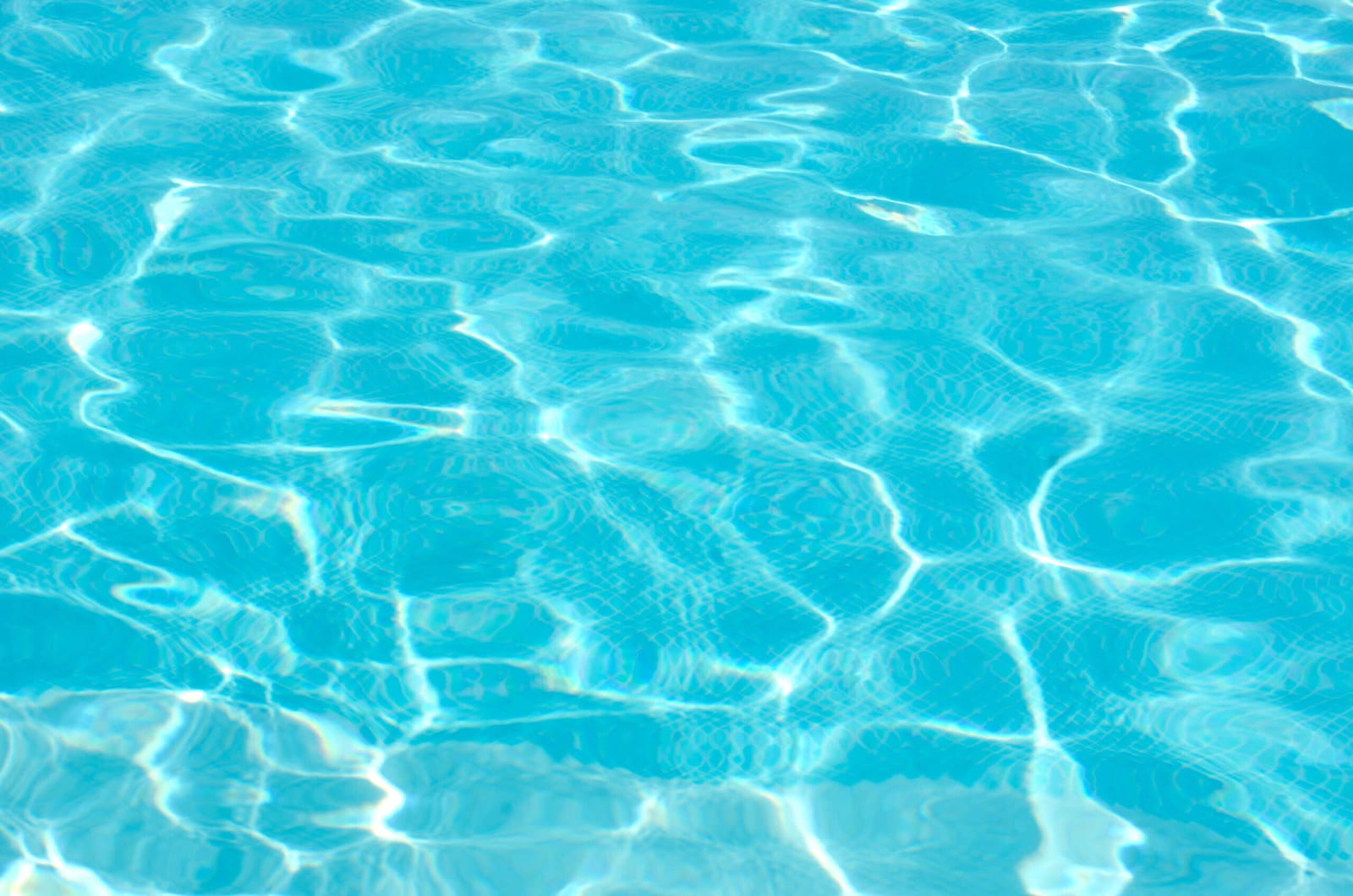 Service Route Planning in Houston: The Psychology Behind Customer Trust — pool service business insights