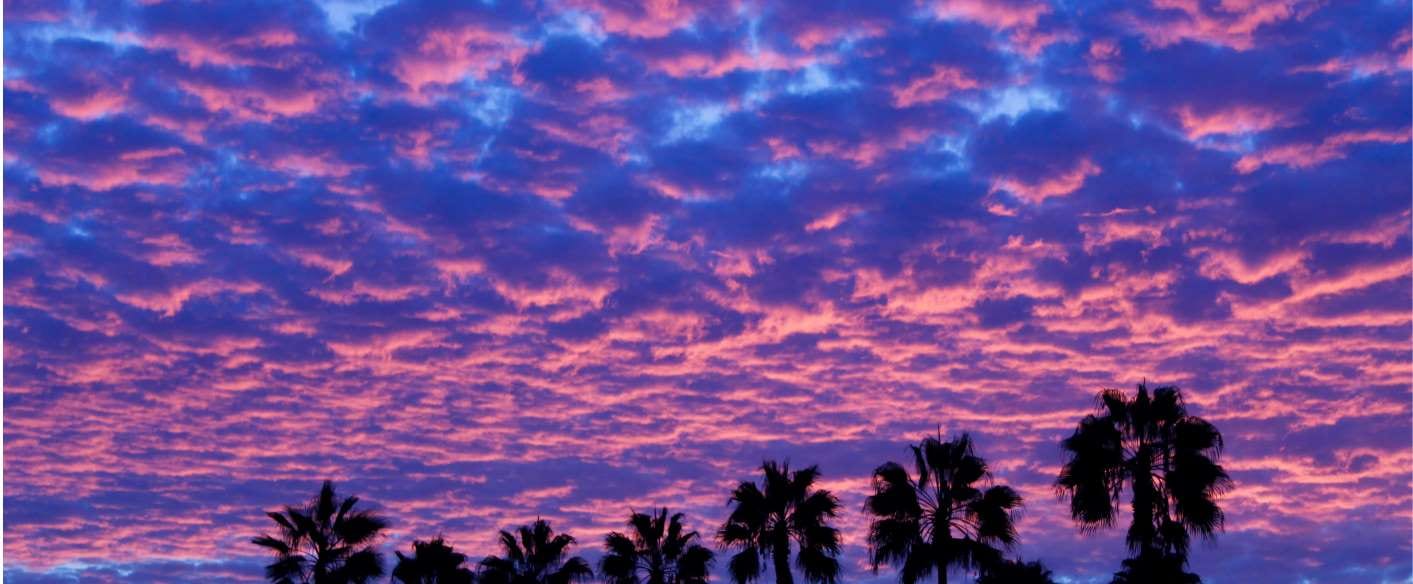 The Growing Pool Service Opportunities in North Las Vegas — pool service business insights