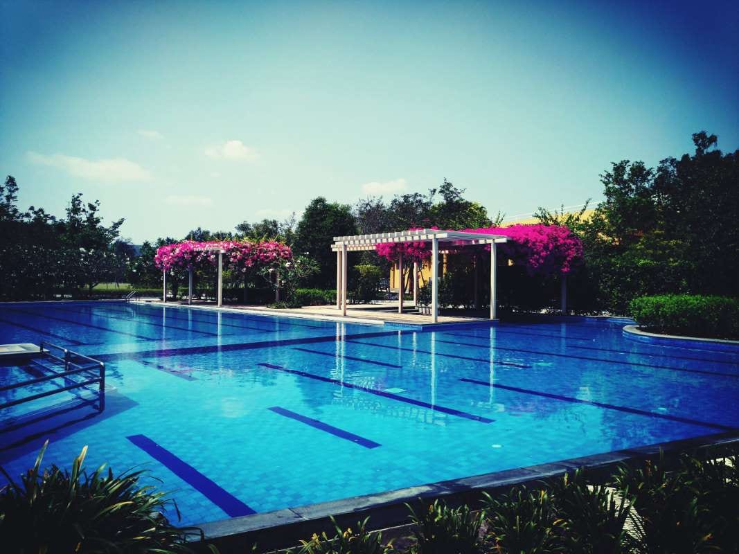 Why Backup Tools Prevent Mid-Day Route Disruptions — pool service business insights