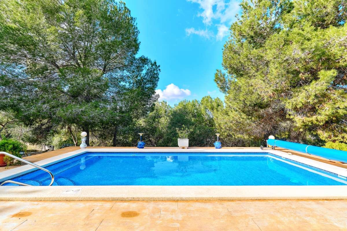 Why Now Is the Time to Launch in Oro Valley, Arizona — pool service business insights